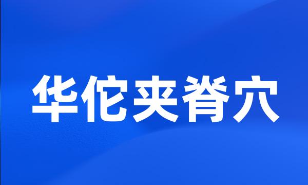 华佗夹脊穴