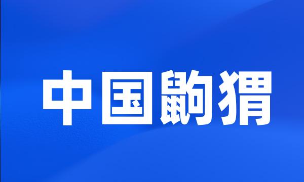 中国鼩猬