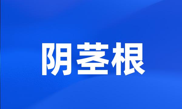 阴茎根