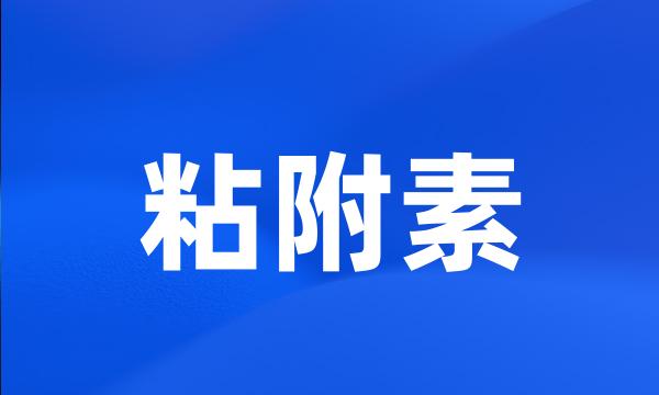 粘附素