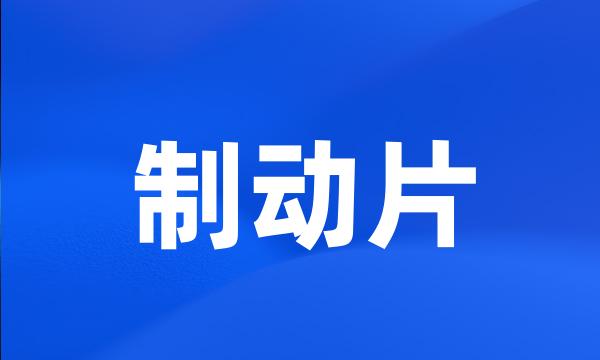 制动片