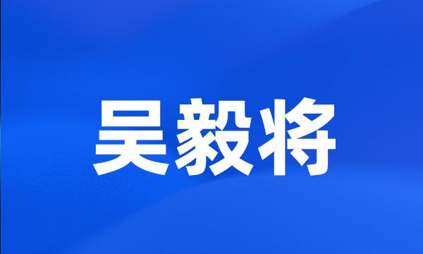 吴毅将