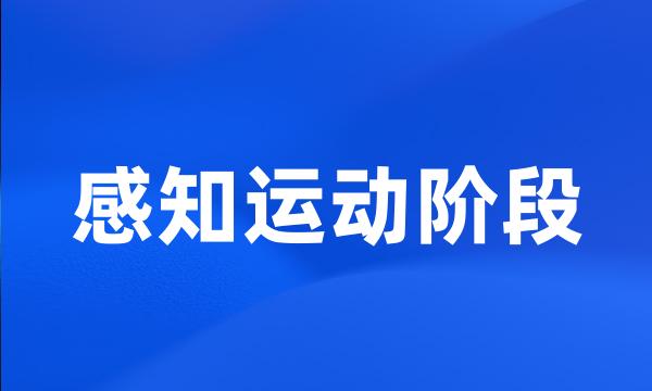 感知运动阶段