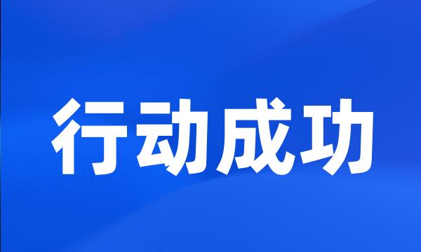 行动成功