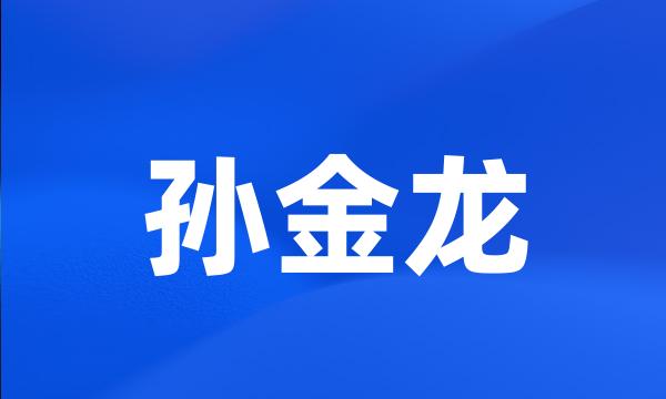 孙金龙