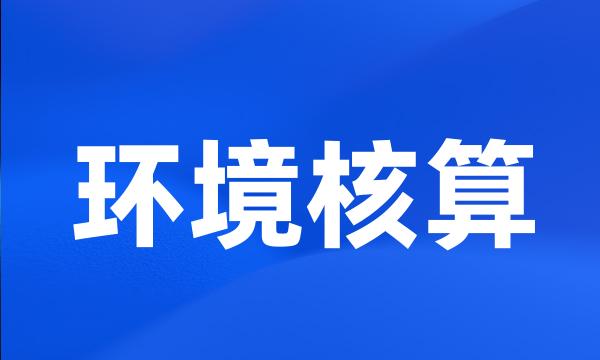 环境核算