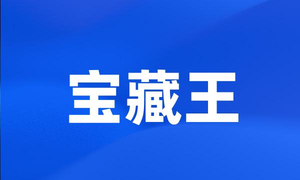 宝藏王