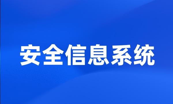 安全信息系统
