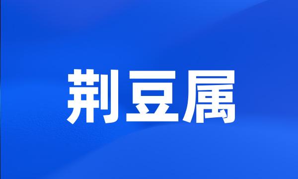 荆豆属