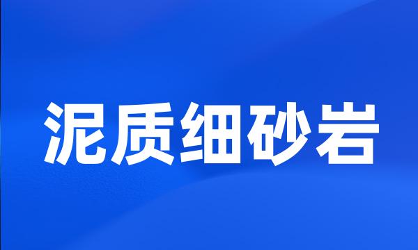 泥质细砂岩