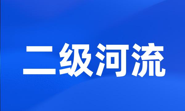 二级河流