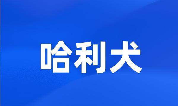 哈利犬