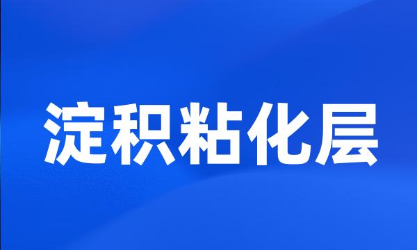 淀积粘化层