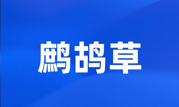 鹧鸪草