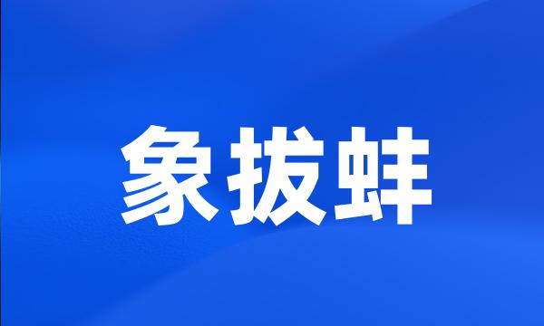 象拔蚌