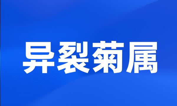 异裂菊属