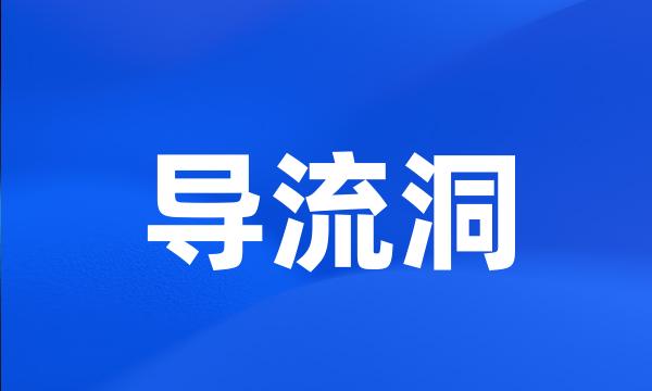 导流洞