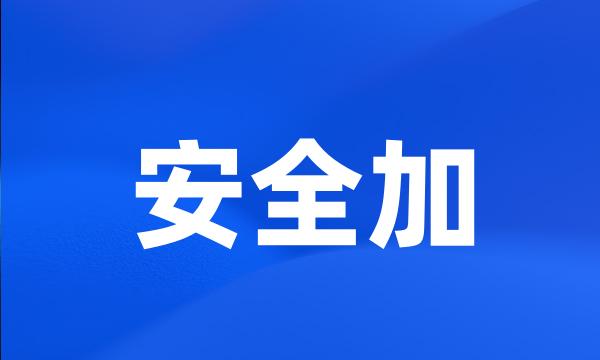 安全加