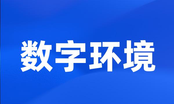 数字环境