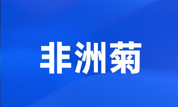 非洲菊