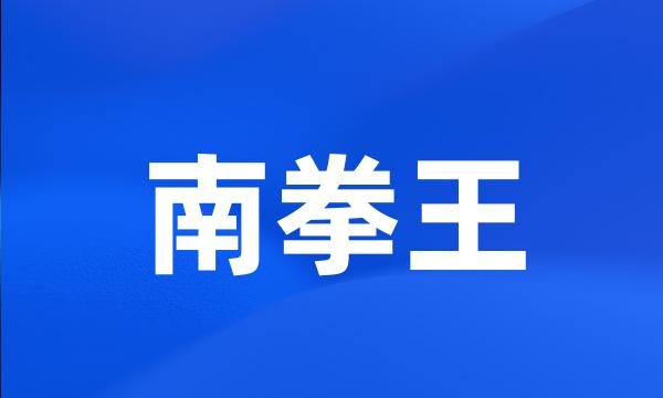 南拳王