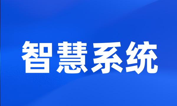 智慧系统