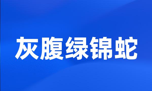 灰腹绿锦蛇