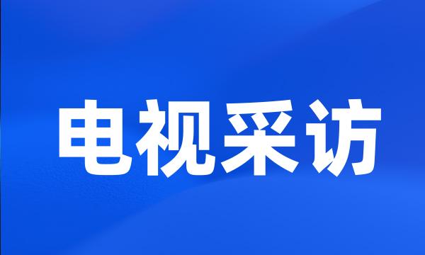 电视采访