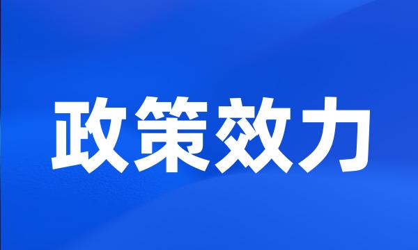 政策效力