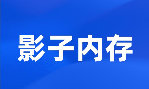 影子内存