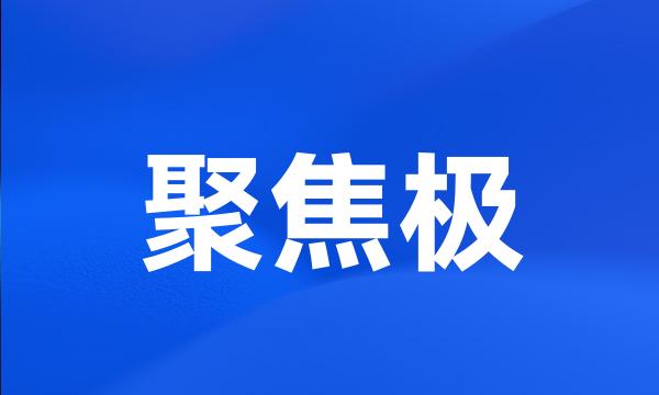 聚焦极