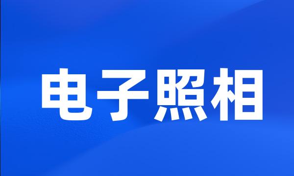 电子照相