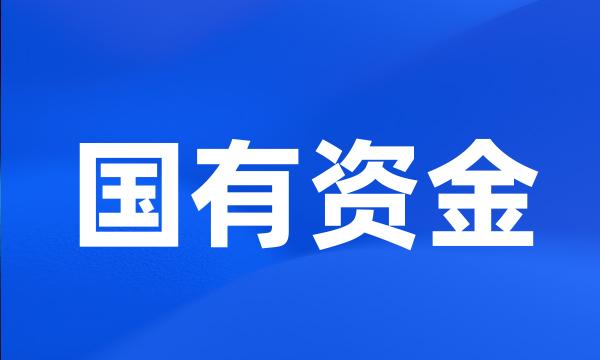 国有资金