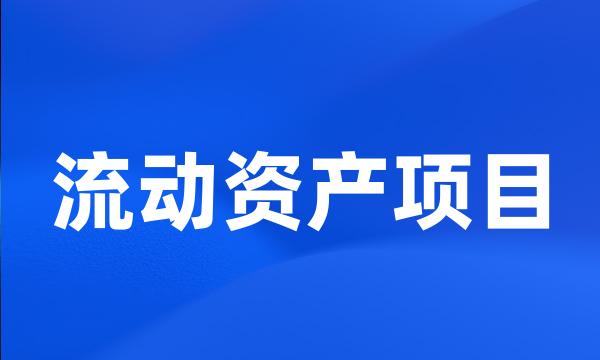 流动资产项目