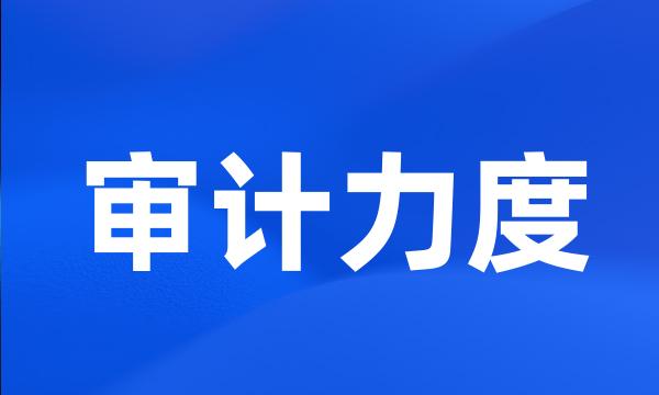 审计力度
