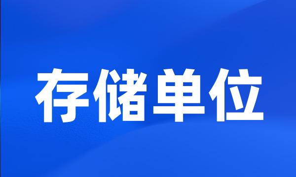 存储单位