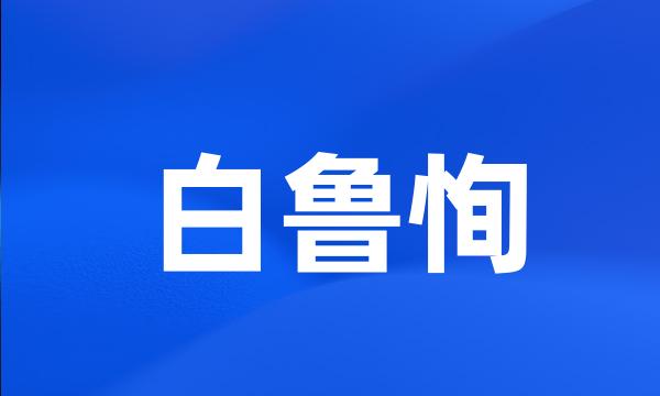 白鲁恂