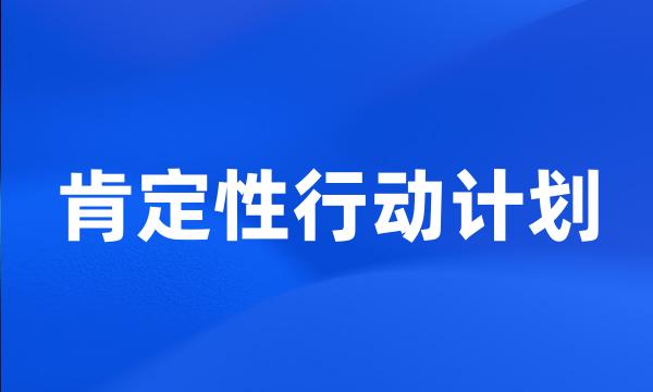 肯定性行动计划