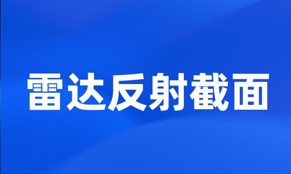 雷达反射截面