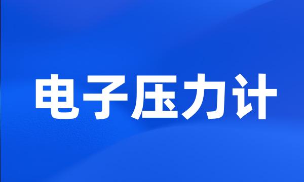 电子压力计