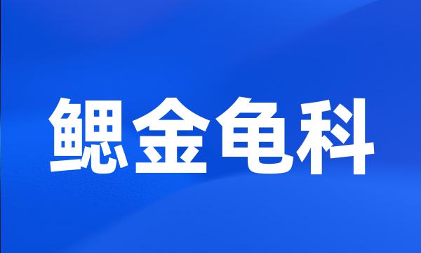 鳃金龟科