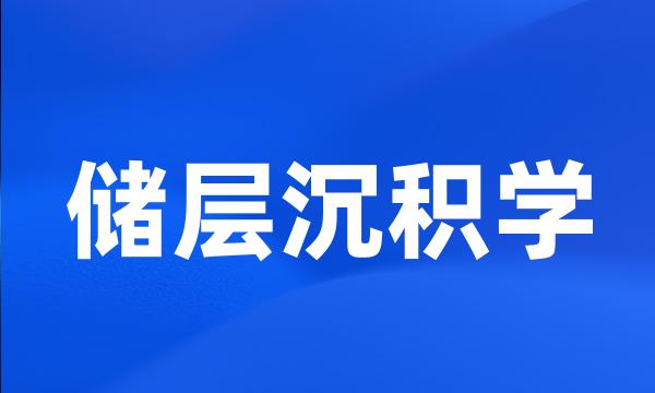 储层沉积学