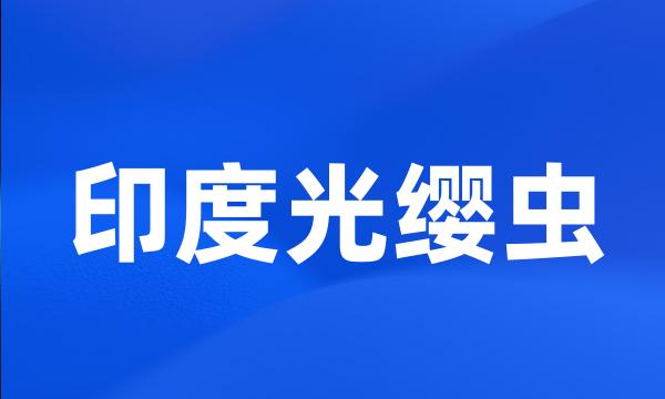 印度光缨虫