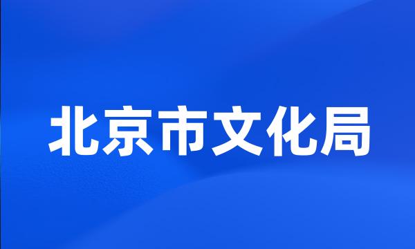 北京市文化局