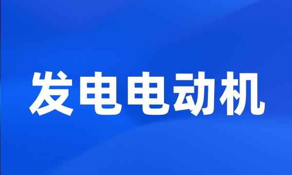 发电电动机