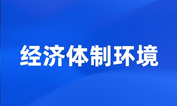 经济体制环境