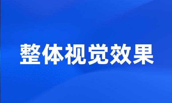 整体视觉效果