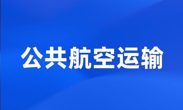 公共航空运输