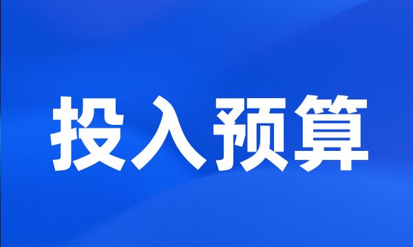 投入预算