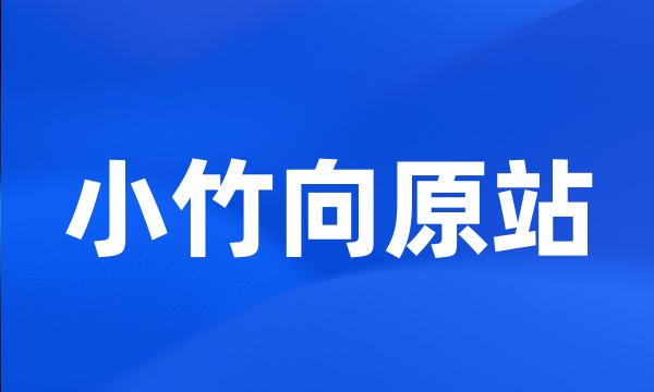 小竹向原站